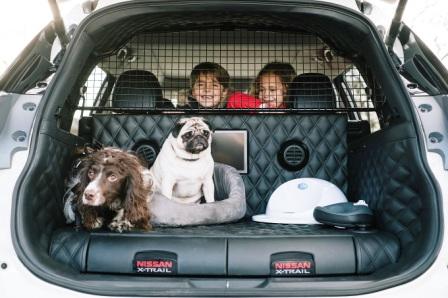 Поездка с собакой в машине что взять с собой